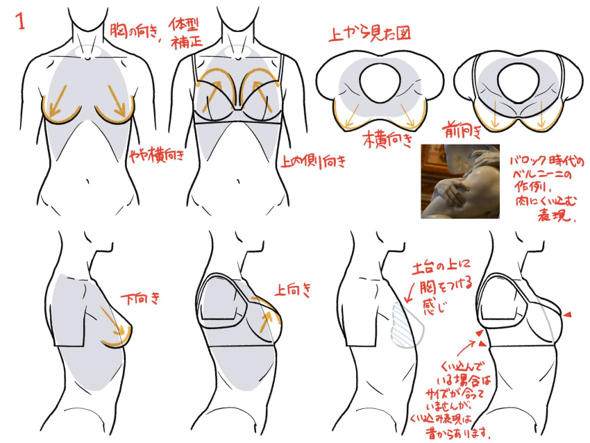 arrow_(symbol) bra breasts check_translation colored_lineart from_above from_side guide highres how_to katou_kouta line_art original photo_inset simple_background skindentation torso translation_request underwear white_background