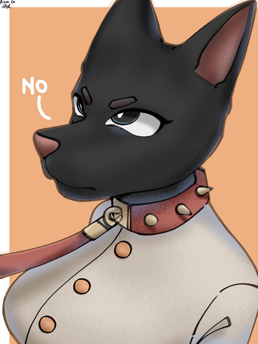 3:4 angry anthro black_body black_fur clothed clothing collar domestic_cat felid feline felis female first_person_view fur hi_res mammal rizal_ok solo white_clothing