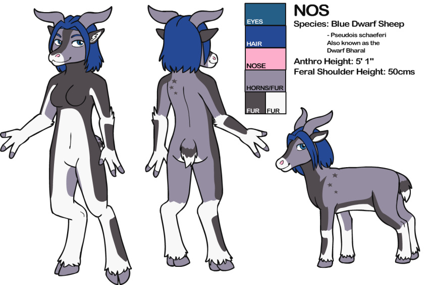 2014 3_fingers alpha_channel anthro arm_tuft ass bharal biped black_body black_fur black_markings black_tail blaze_(marking) blue_eyebrows blue_eyes blue_hair bovid bovid_horn breasts caprine caprine_horn character_name cloven_hooves color_swatch countershade_arms countershade_legs countershade_torso countershading digital_drawing_(artwork) digital_media_(artwork) dwarf_bharal english_text eyebrows facial_markings feathering featureless_breasts featureless_crotch female feral fingers front_view full-length_portrait fur fur_tuft gloves_(marking) goat_horn grey_body grey_fur grey_hooves grey_horn grey_tail hair head_markings hooved_fingers hooves horn imperial_unit information information_section inner_ear_fluff leg_markings leg_tuft looking_aside looking_away mammal markings measurements medium_breasts metric_unit model_sheet multicolored_body multicolored_fur multiple_poses muzzle_(marking) navel nos_(fursona) nude number portrait pose quadruped rear_view scientific_name short_hair short_tail side_view simple_background smile snout snout_markings socks_(marking) solo species_name standing star_(marking) tail text thekc transparent_background tuft two_tone_body two_tone_fur two_tone_tail unit white_body white_countershading white_fur white_tail