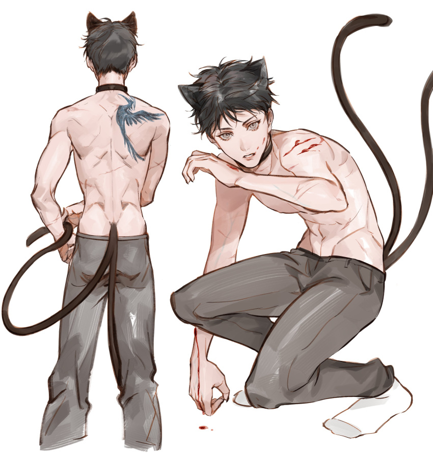 1boy absurdres animal_collar animal_ears ass back_tattoo bird_tattoo bishounen black_collar black_hair blood blood_on_face blood_on_hands cat_boy cat_ears cat_tail character_request chinese_commentary claw_mark collar commentary_request cropped_legs expressionless from_behind full_body ggskj5 grey_eyes grey_pants highres injury kemonomimi_mode lips looking_at_viewer male_focus multiple_tails multiple_views nekomata pants parted_lips scar scar_on_arm scar_on_back short_hair simple_background socks squatting standing tail tattoo thick_eyebrows tight_clothes toned toned_male topless_male tun_hai two_tails white_background white_socks wiping_blood