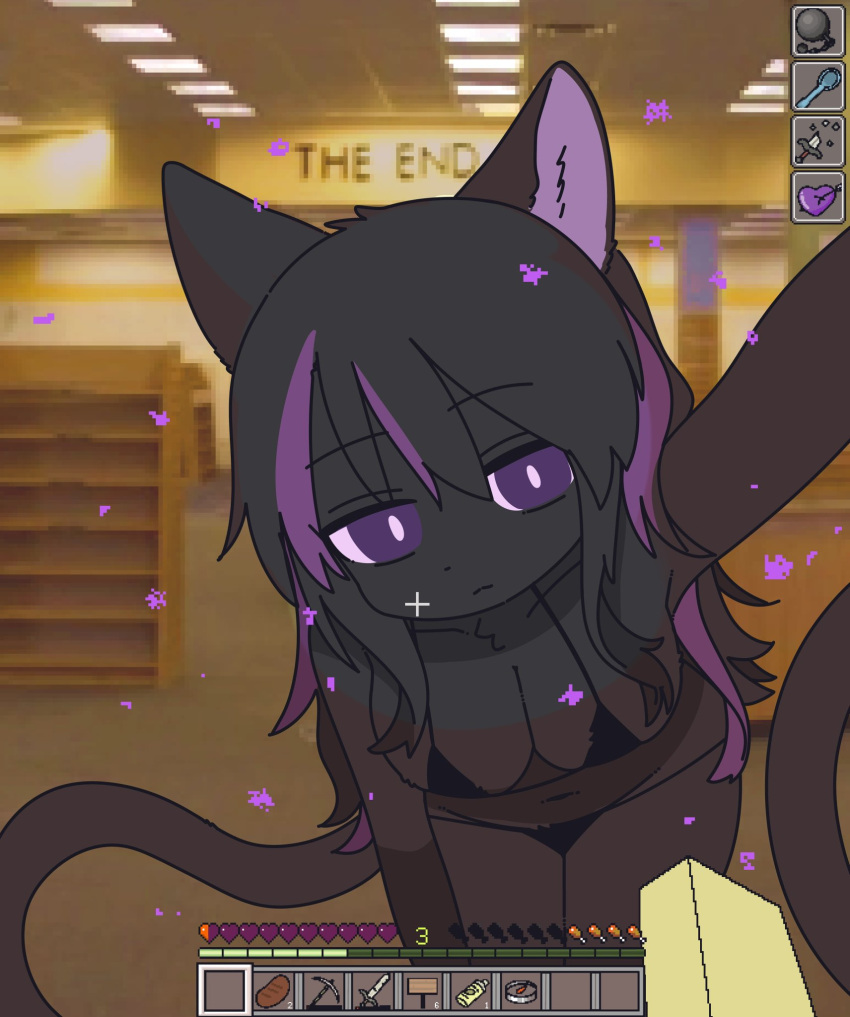 animal_ears backrooms_(creepypasta) bare_shoulders bikini black_bikini black_hair cat_ears cat_girl cat_tail enderman english_text female feminization highres liminal_space looking_at_viewer mike_no_hito minecraft multicolored_hair purple_eyes purple_hair swimsuit tail two-tone_hair user_interface