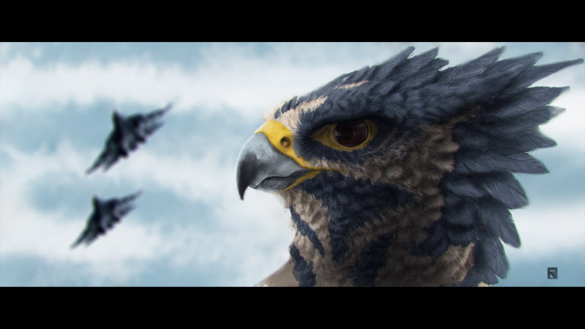 16:9 2018 aircraft airplane ambiguous_gender artist_logo avian beak bird black_eyes blurred_background brown_sclera cloud day digital_media_(artwork) falcon falconid falcrus falcrus_(character) feathers feral front_view grey_beak grey_body grey_feathers gryphon headshot_portrait hi_res jet letterbox logo looking_aside mythological_avian mythological_creature mythology outside peregrine_falcon portrait sky solo vehicle white_body white_feathers widescreen