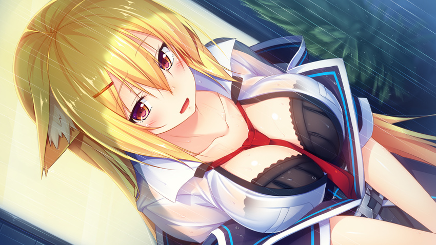 animal_ears aristear_remain astronauts astronauts_comet black_bra blonde_hair blush bra breasts cleavage collarbone collared_shirt dutch_angle female fox_ears game_cg highres kanzaki_eruza kokusan_moyashi large_breasts long_hair looking_away outdoors parted_lips rain red_eyes rozea solo standing water wet wet_clothes