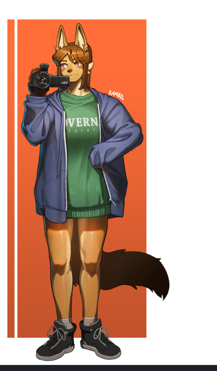 2021 anthro artist_name biped black_clothing black_footwear black_shoes blue_clothing blue_sweater blue_topwear brown_body brown_fur brown_hair camera canid cheek_tuft clothed clothed_anthro clothed_female clothing eyebrow_through_hair eyebrows eyelashes facial_tuft female female_anthro fluffy fluffy_tail footwear front_view full-length_portrait fur glistening glistening_hair glistening_legs green_clothing green_topwear hair hi_res kambo korean_description lenka_(janjin192) long_sleeves looking_away mammal mouth_closed open_clothing open_sweater open_topwear open_zipper portrait red_eyes shaded shoe_laces shoes simple_background socks solo standing sweater tail text topwear translucent translucent_hair tuft zipper