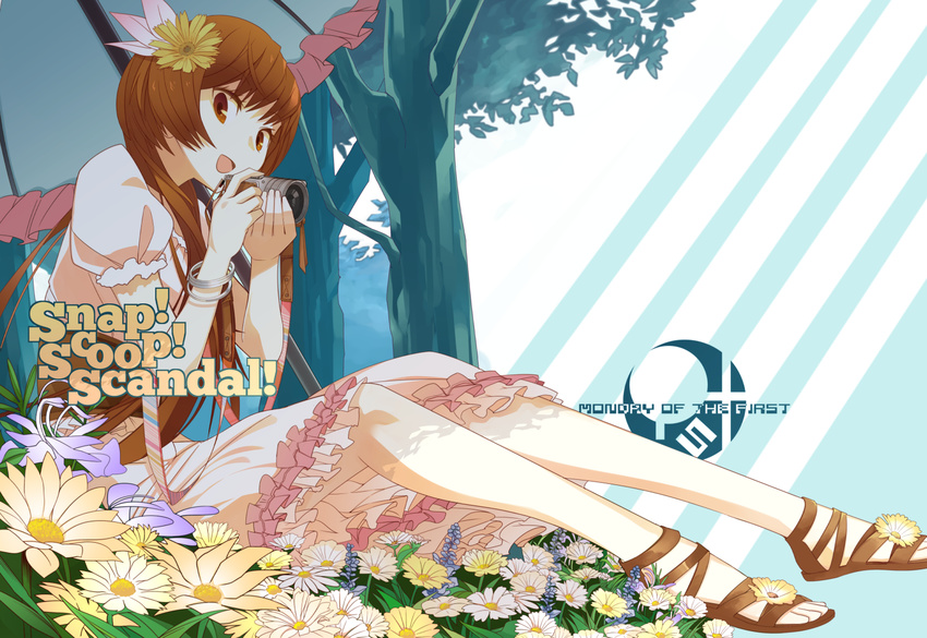 brown_eyes brown_hair camera dress flowers long_hair nisekoi tachibana_marika total9 umbrella