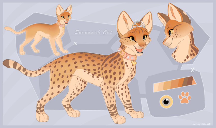 2018 black_lips blue_eyes domestic_cat felid feline felis feral flat_colors fur hi_res kitchiki lips mammal mixed_breed model_sheet open_mouth orange_body orange_fur savannah_cat simple_background smile solo standing tan_body tan_fur teeth text tongue