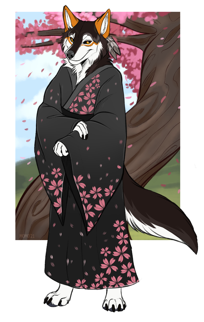 absurd_res anthro asian_clothing canid canine canis cherry_blossom cherry_blossom_tree cherry_tree clothing danywolf east_asian_clothing flower fruit_tree hi_res japanese_clothing kimono male mammal peachan plant prunus_(flower) solo srpeachy tree wolf