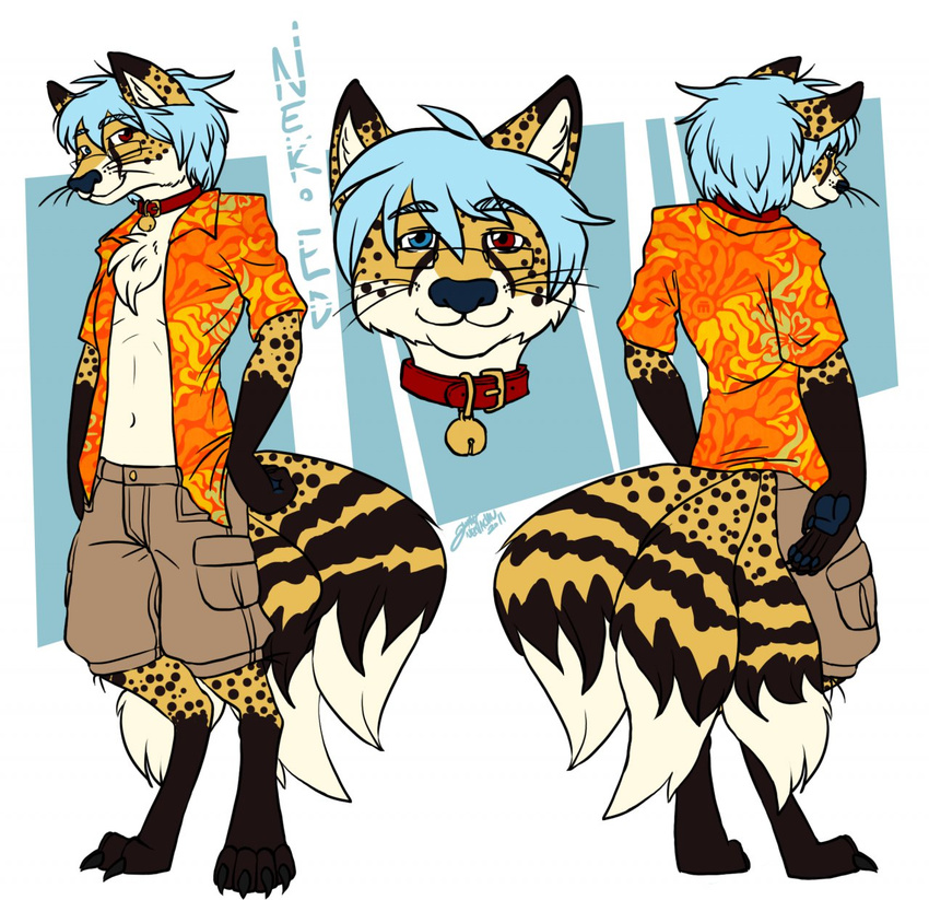 anthro bell blue_hair canid canine character_name cheetah clothed clothing collar digitigrade eevachu eyewear felid feline fox fur glasses hair heterochromia hi_res hybrid male mammal model_sheet multi_tail neko_ed solo tail text