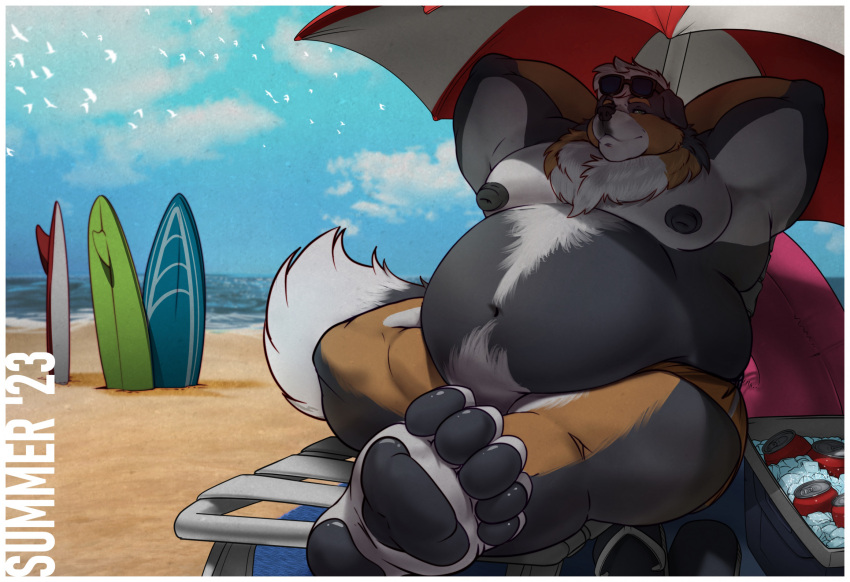 anthro beach beach_chair beach_umbrella canid canine canis clothing cobaltgrande cooler domestic_dog eyewear fit_to_fat hands_behind_back hi_res male mammal mountain_dog overweight overweight_anthro overweight_male parasol seaside solo sunglasses surfboard swimming_trunks swimwear thesammon_(fox) weight_gain weight_gain_kink