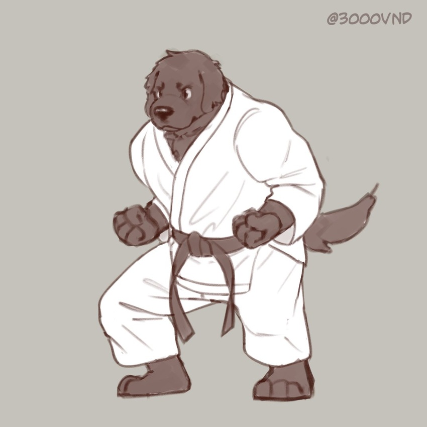 1:1 3000vnd anthro canid canine canis clothing domestic_dog karate karate_outfit male mammal martial_arts muscular muscular_anthro muscular_male solo sport