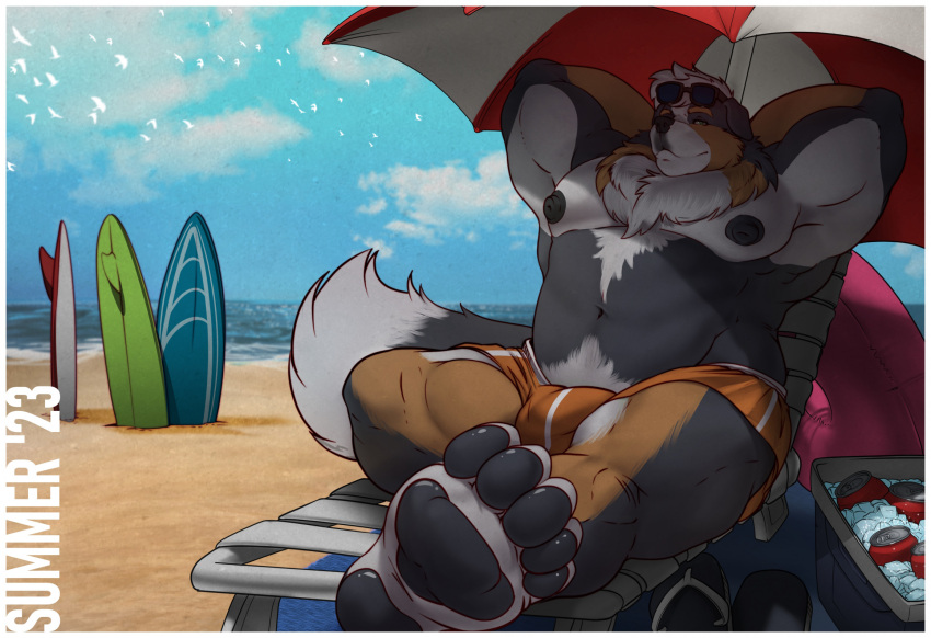 anthro athletic beach beach_chair beach_umbrella canid canine canis clothing cobaltgrande cooler domestic_dog eyewear hands_behind_back hi_res male mammal mountain_dog musclegut muscular parasol seaside solo sunglasses surfboard swimming_trunks swimwear thesammon_(fox)