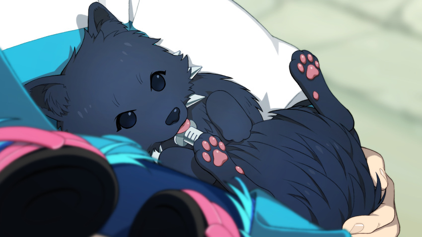 16:9 allmate aoba_seragaki beady_eyes being_held blue_body blue_fur blue_hair canid canine canis clothing collar domestic_dog dramatical_murder duo electronics feral first_person_view fluffy fur hair hand_on_tail headphones hi_res human jacket japanese_spitz legs_up lying male mammal nitro+chiral official_art pawpads ren_(dmmd) solo_focus spiked_collar spikes spitz syringe tail tongue tongue_out topwear torao_asada widescreen