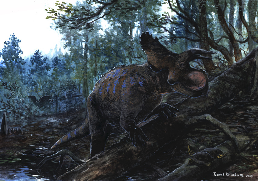 2019 absurd_res ceratopsian crittendenceratops_krzyzanowskii detailed dinosaur dirt extinct forest group hi_res horn ornithischian plant prehistoric_species quadruped realistic reptile scalie sky solo_focus traditional_media_(artwork) tree tuomas_koivurinne turtle