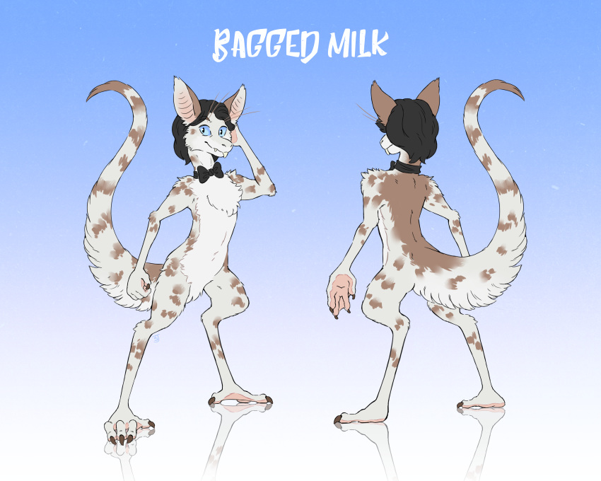 5:4 absurd_res bagged_milk black_hair blue_eyes bow_(feature) bow_tie collar hair hi_res looking_at_viewer male mammal model_sheet out-of-placers solo spots wooperworks yinglet