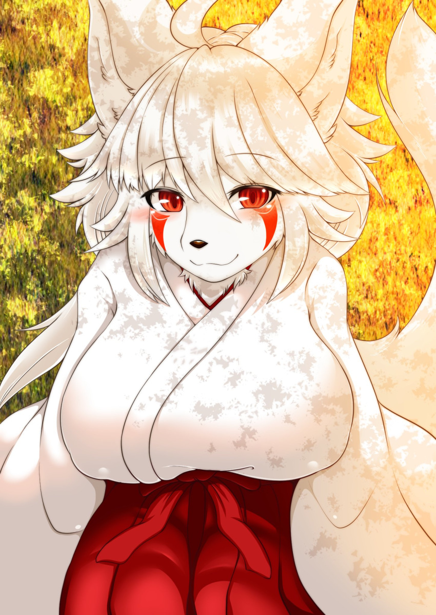 female furry japanese_clothes long_hair megane_inu mik red_eyes solo white_hair