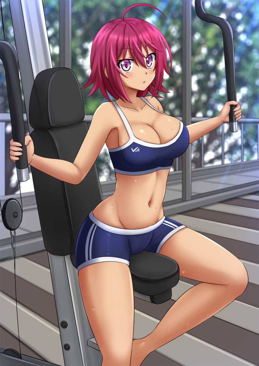 :o ahoge bare_arms bare_shoulders blue_shorts blurry blurry_background blush bokutachi_wa_benkyou_ga_dekinai breasts cleavage collarbone commentary depth_of_field english_commentary exercise_machine exercising female groin hair_between_eyes highres indoors kazenokaze large_breasts looking_at_viewer navel parted_lips pink_eyes pink_hair purple_hair short_shorts shorts sitting solo sports_bra sweat takemoto_uruka