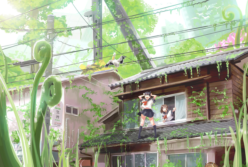 2girls animal_ears bird black_hair brown_hair cable commentary_request house isshiki_tarou md5_mismatch multiple_girls original outdoors overgrown pelican photoshop_(medium) plant power_lines raccoon raccoon_ears resolution_mismatch school_uniform utility_pole vines window wire