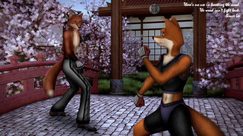 16:9 3d_(artwork) anthro blue_eyes bodysuit bottomwear canid canine clothed clothing dan_scarlet digital_media_(artwork) dojo duo female fight fox fur garden gloves green_eyes handwear hi_res male mammal martial_arts orange_body orange_fur pants plant red_body red_fur skinsuit smile text tight_clothing topless tree widescreen wood