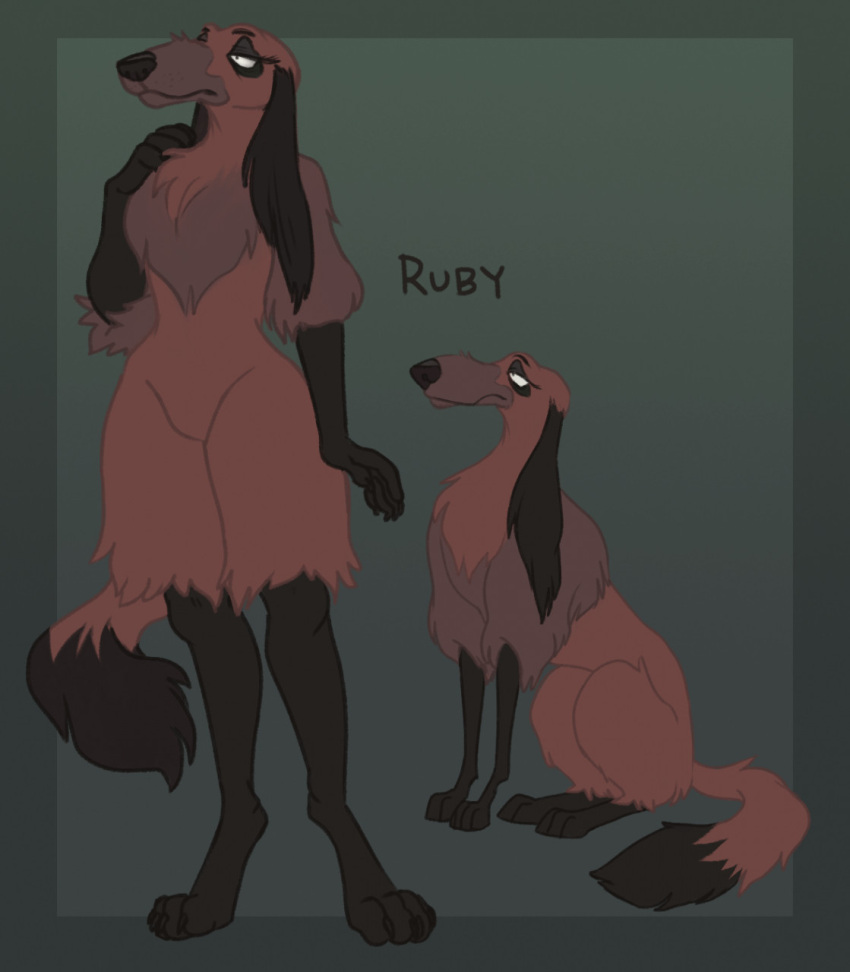 afghan_hound anthro anthrofied canid canine canis chest_tuft deermary digital_media_(artwork) digitigrade disney domestic_dog eyelashes female feral fur hi_res hunting_dog lady_and_the_tramp lady_and_the_tramp_2 mammal multicolored_body multicolored_fur paws ruby_(lady_and_the_tramp) sighthound simple_background tuft