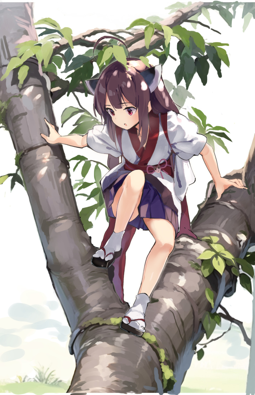 :o black_footwear blue_skirt brown_hair climbing_tree commentary day female headgear highres in_tree japanese_clothes kimono lamb_(hitsujiniku) long_hair obi outdoors parted_lips pleated_skirt red_eyes sandals sash short_sleeves skirt socks solo tabi tasuki touhoku_kiritan tree voiceroid white_kimono white_socks zouri