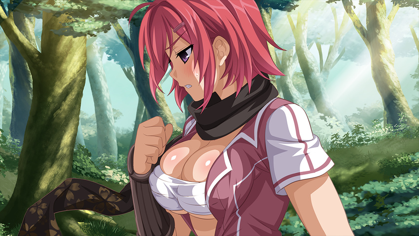 ahoge blush body_blush breast_press breasts cherry_blossom_print cleavage clenched_hand clenched_teeth day female floral_print forest from_side game_cg grass hair_ornament hairclip hikage_narumi large_breasts light_rays looking_down nature open_clothes open_mouth open_shirt outdoors petals profile purple_eyes red_hair sakura_spirit sarashi scarf shiny_skin shirt short_hair skindentation solo sunbeam sunlight sweatdrop teeth tree underboob upper_body vambraces wanaca wing_collar