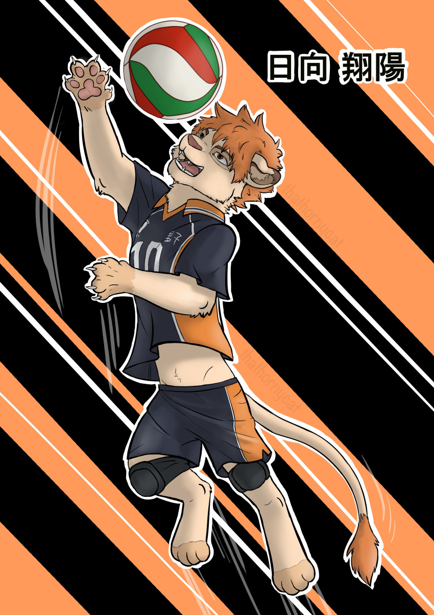 absurd_res claws clothing colored disney felid feral fur hi_res jumping lion male mammal mane midriff pantherine paws shaded shoyo_hinata shueisha_inc. solo sport thathornycat the_lion_king uniform volleyball