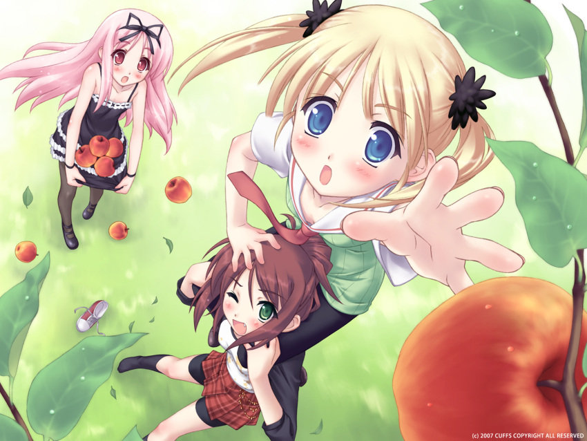 akino_takehiro bike_shorts cuffs garden himemiya_ruri hoshino_erika pantyhose summer_dress suzumura_azami wallpaper