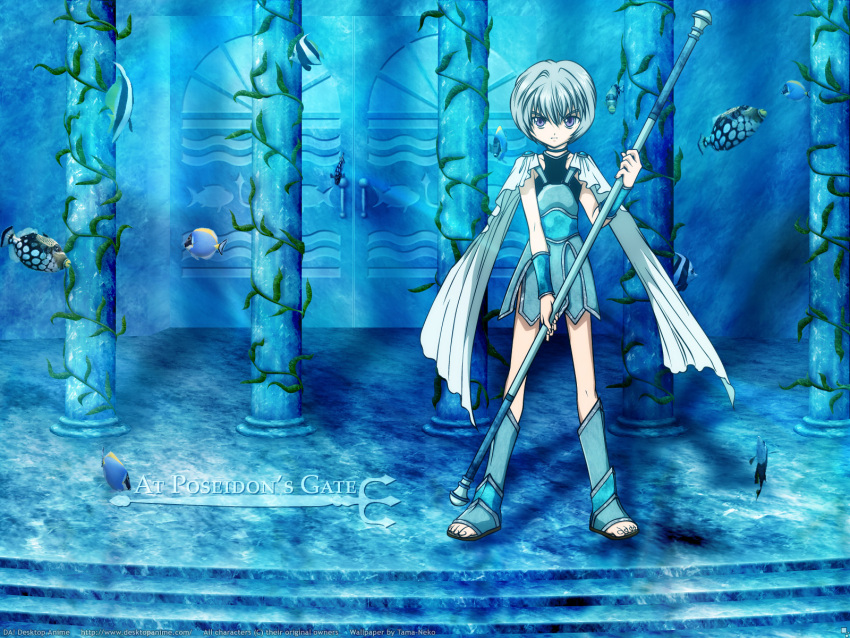 anima blue plus_anima tagme