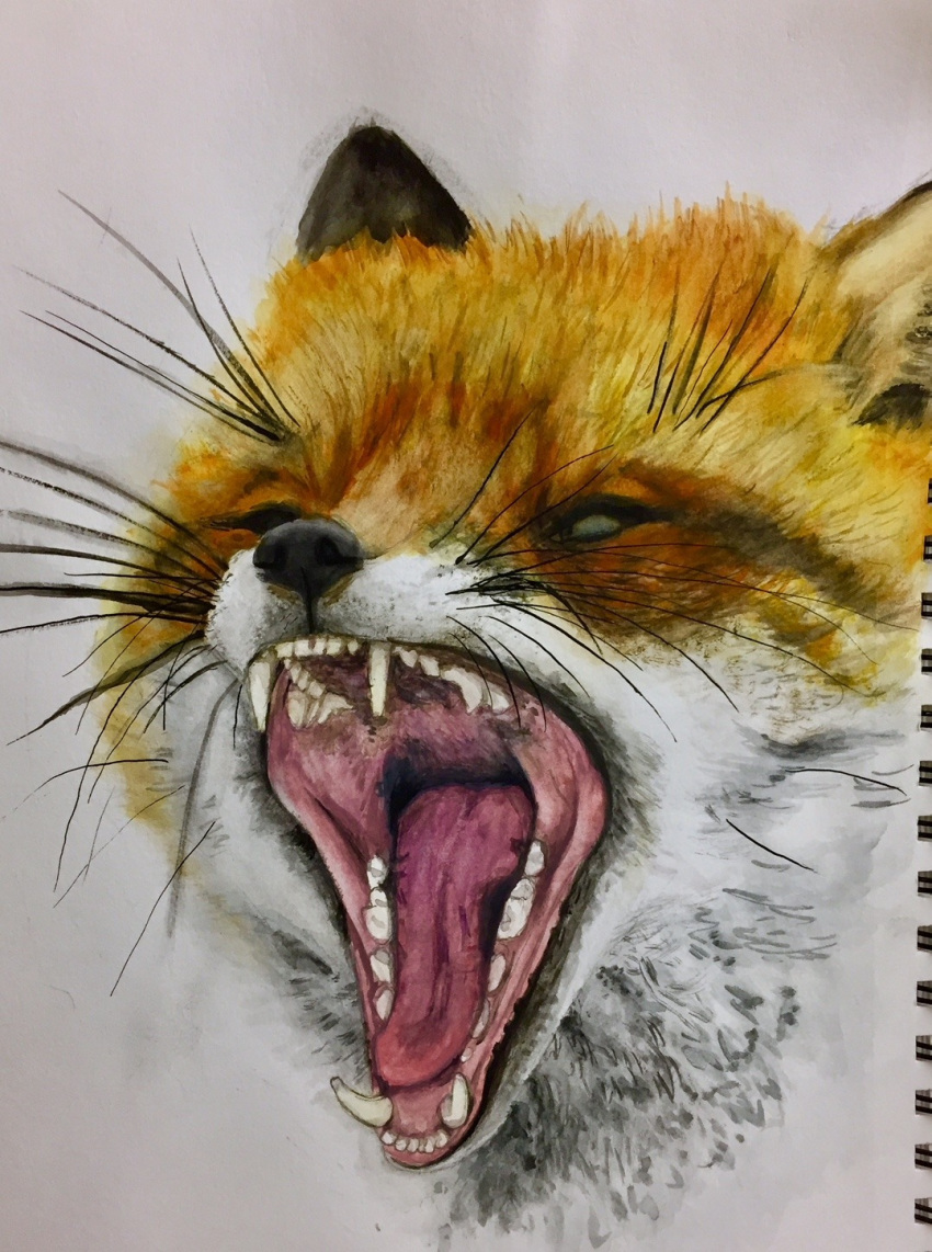 ambiguous_gender canid canine famished_(artist) fangs feral fox fur hi_res mammal open_mouth orange_body orange_fur solo teeth tongue whiskers white_body white_fur