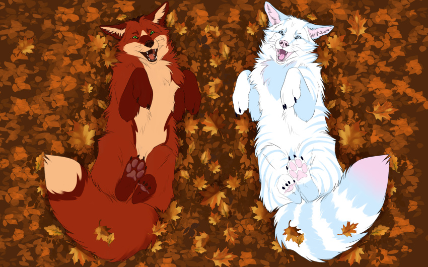 absurd_res arctic_fox autumn autumn_leaves canid canine domestic_cat duo felid feline felis feral fox hi_res hybrid leaf love mackerel_tabby male male/male mammal outside skullsbesan tabby_cat tanos true_fox zax_(zwalexan)