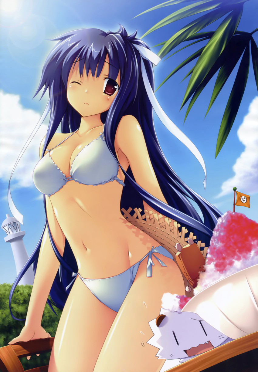 bikini mizugi tagme volume7