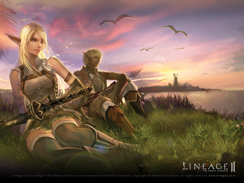 1boy artist_request bird blonde_hair elf elf_(lineage_2) female grass highres lineage lineage_2 long_hair official_art official_wallpaper outdoors pointy_ears sitting sky sunset sword thighhighs weapon