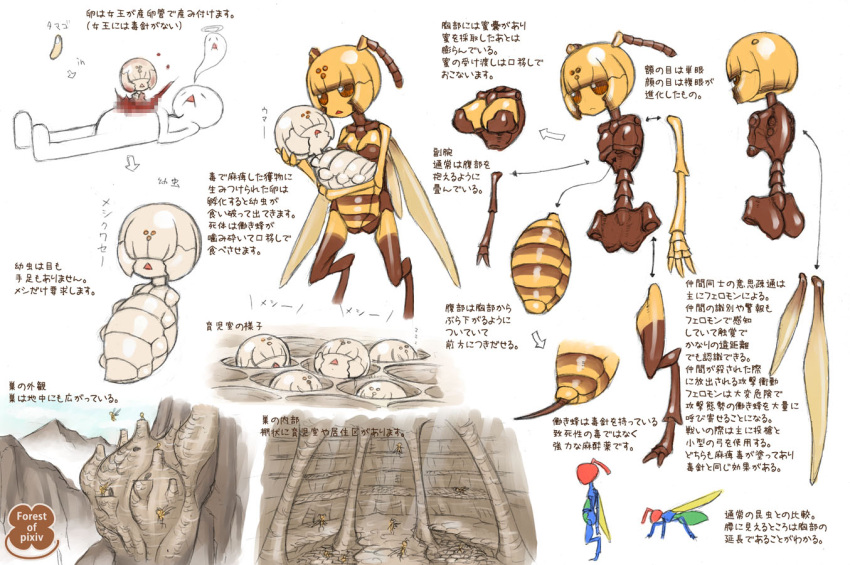 6+girls arthropod_girl bee_girl blood censored commentary_request diagram extra_arms extra_eyes fake_censor jon_henry_nam monster_girl multiple_girls pixiv_forest translated wings