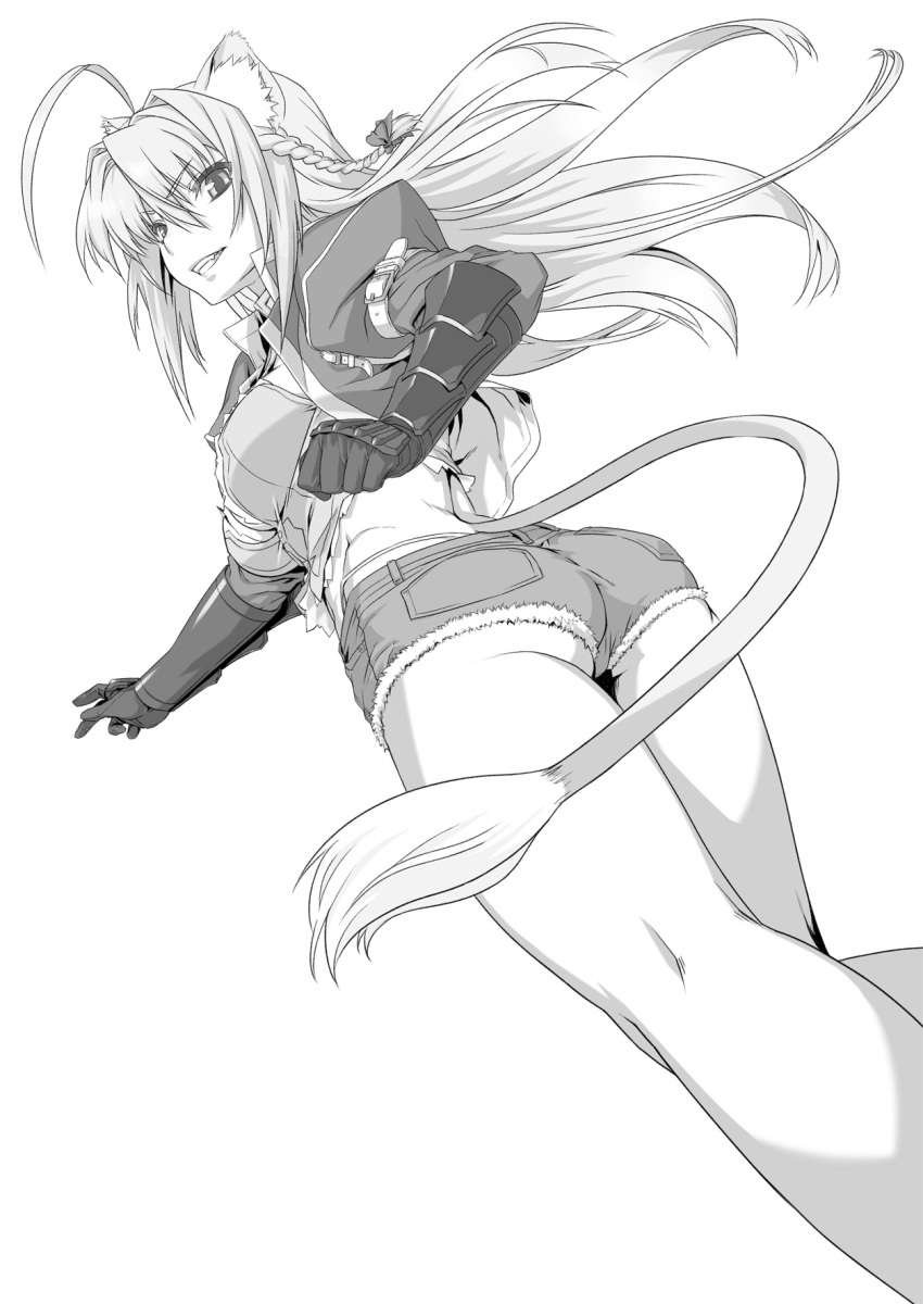 212_(kisaragi) ahoge animal_ears ass bad_id bad_pixiv_id braid bustier cat_ears cropped_jacket cutoffs denim denim_shorts dog_days dutch_angle female foreshortening from_behind from_below gauntlets greyscale grin highres jacket leonmitchelli_galette_des_rois lion_tail long_hair looking_at_viewer looking_back midriff monochrome panties photoshop_(medium) short_shorts shorts side_braid smile solo tail thong underwear