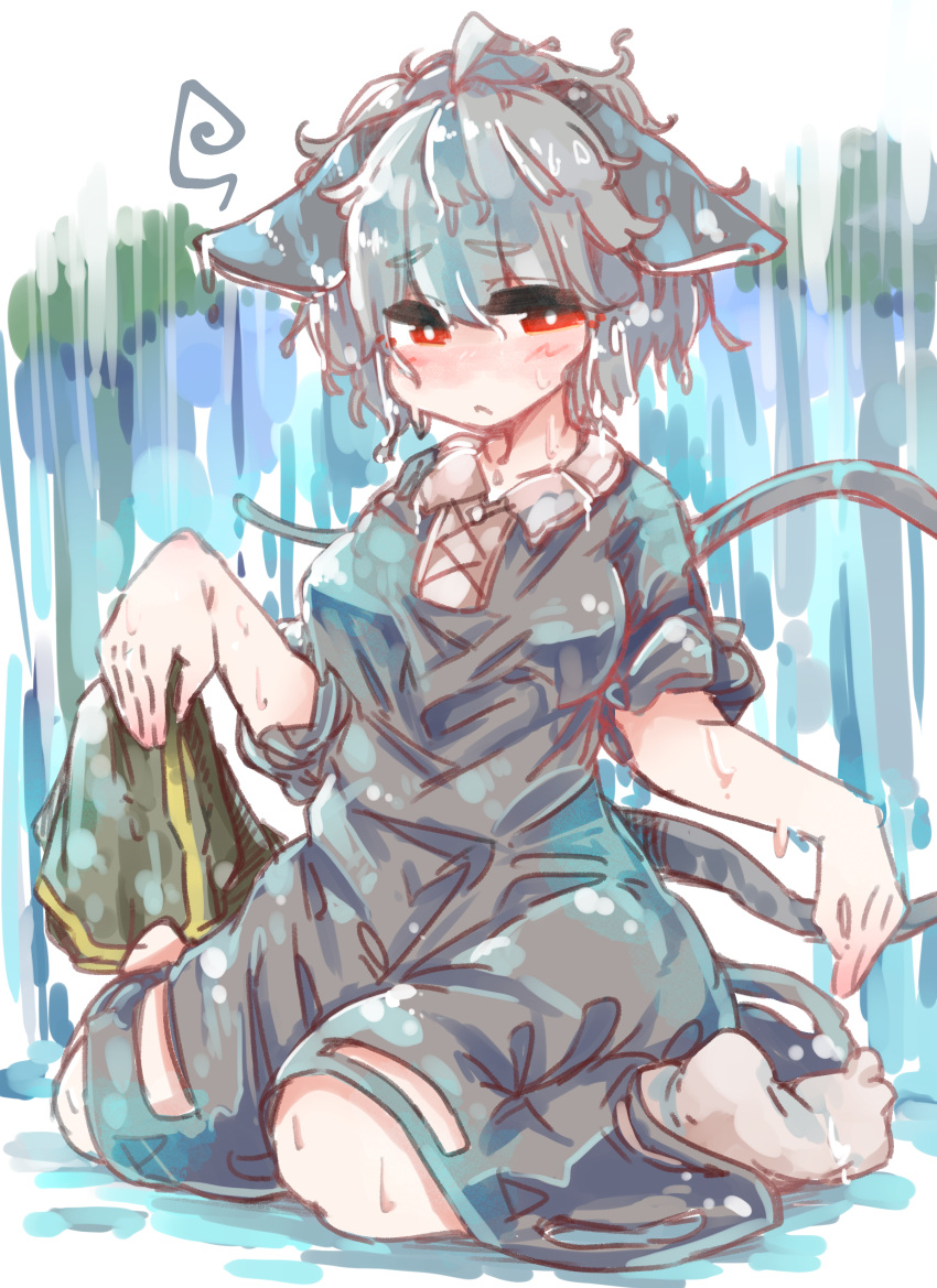 absurd_res ahoge animal_humanoid blush breasts capelet clothed clothing dress female footwear grey_hair hair hi_res humanoid mammal mammal_humanoid mouse_humanoid murid murid_humanoid murine murine_humanoid nazrin red_eyes rodent rodent_humanoid sabitare short_hair sitting socks solo touhou water wet wet_clothing wet_hair