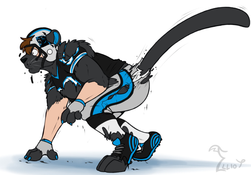 2022 american_football_uniform anthro armor binturongboss black_body black_fur bottomwear broken_helmet carolina_panthers cleats clothing felid fingerless_gloves football_gear football_helmet football_jersey football_pants football_player footwear fur gloves growth handwear headgear helmet human_to_anthro jersey male mammal mascot nfl pantherine pants pheagle pose simple_background sir_purr socks solo species_transformation tail tail_growth tail_growth_in_pants torn_clothing transformation white_background