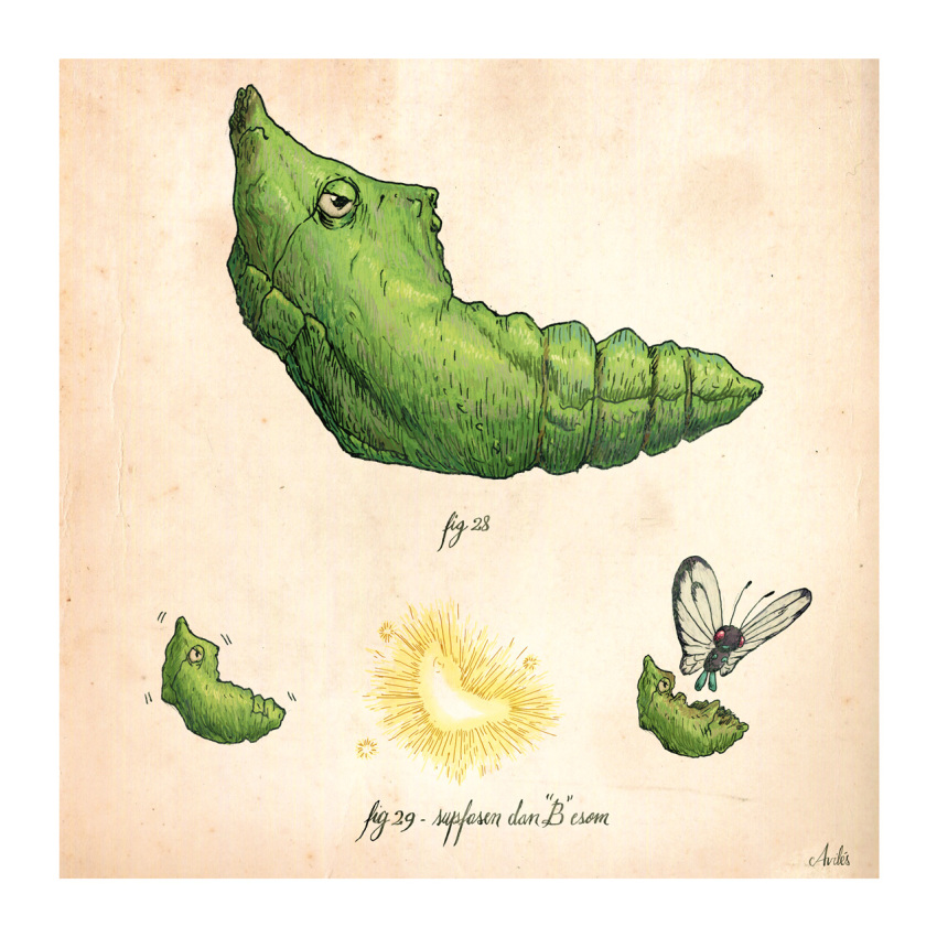 butterfree evolution highres metapod no_humans pokemon pokemon_(creature) rodrigo_aviles signature