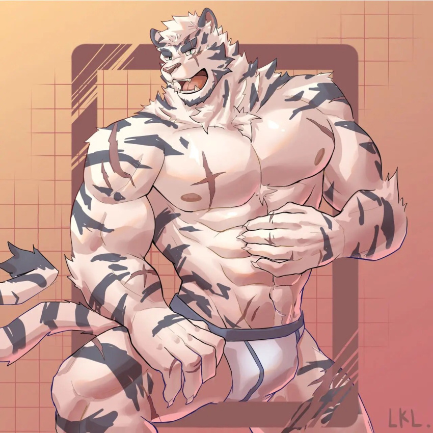 1boy abs animal_ears arknights bara briefs bulge facial_hair feet_out_of_frame furry furry_male goatee highres large_pectorals looking_to_the_side male_focus male_underwear mountain_(arknights) muscular muscular_male pectorals pukuruku scar scar_across_eye short_hair solo thick_eyebrows tiger_boy tiger_ears tiger_stripes underwear wet wet_clothes wet_male_underwear white_fur white_hair