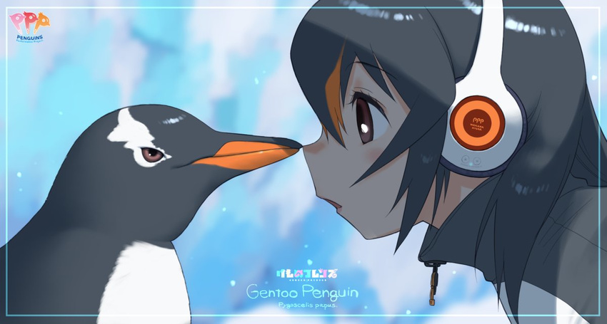 animal bird black_hair character_name commentary_request copyright_name creature_and_personification female gentoo_penguin gentoo_penguin_(kemono_friends) group_name headphones jacket kemono_friends logo looking_at_another official_art open_mouth penguin scientific_name short_hair upper_body yoshizaki_mine