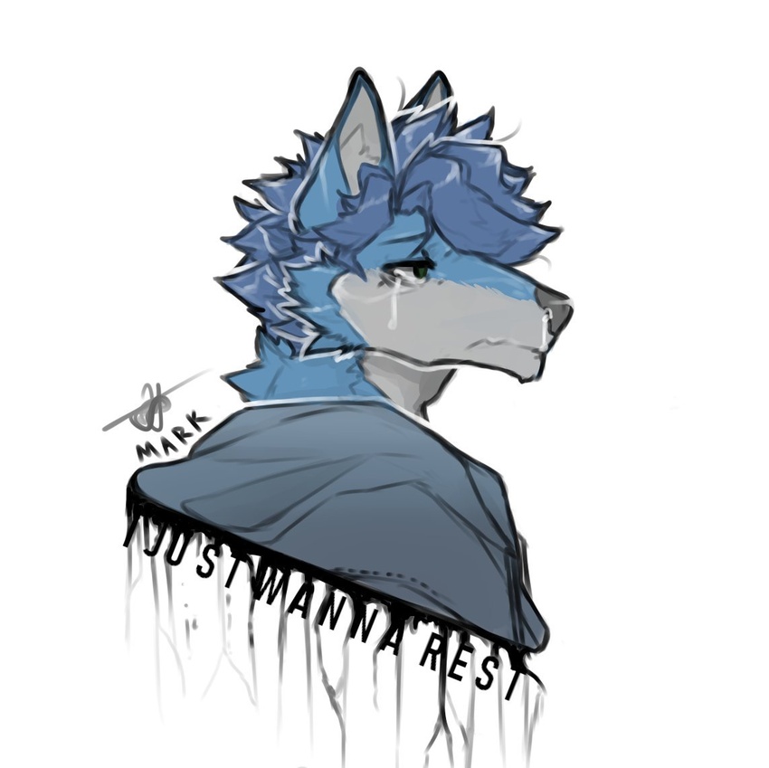 2019 anthro blue_hair bodily_fluids canid canine canis clothing crying english_text frown fur hair hoodie male mammal mark_(marvolk) marvolk messy_hair multicolored_body multicolored_fur simple_background solo tears text topwear white_background wolf