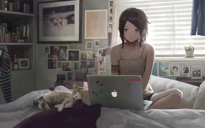 animal aphex_twin at_computer bad_id bad_twitter_id bed bedroom black_hair camisole computer feline female highres indoors laptop on_bed original photo_(object) plant potted_plant short_hair sitting sticker tattoo tomiya_(tomiya2117) window