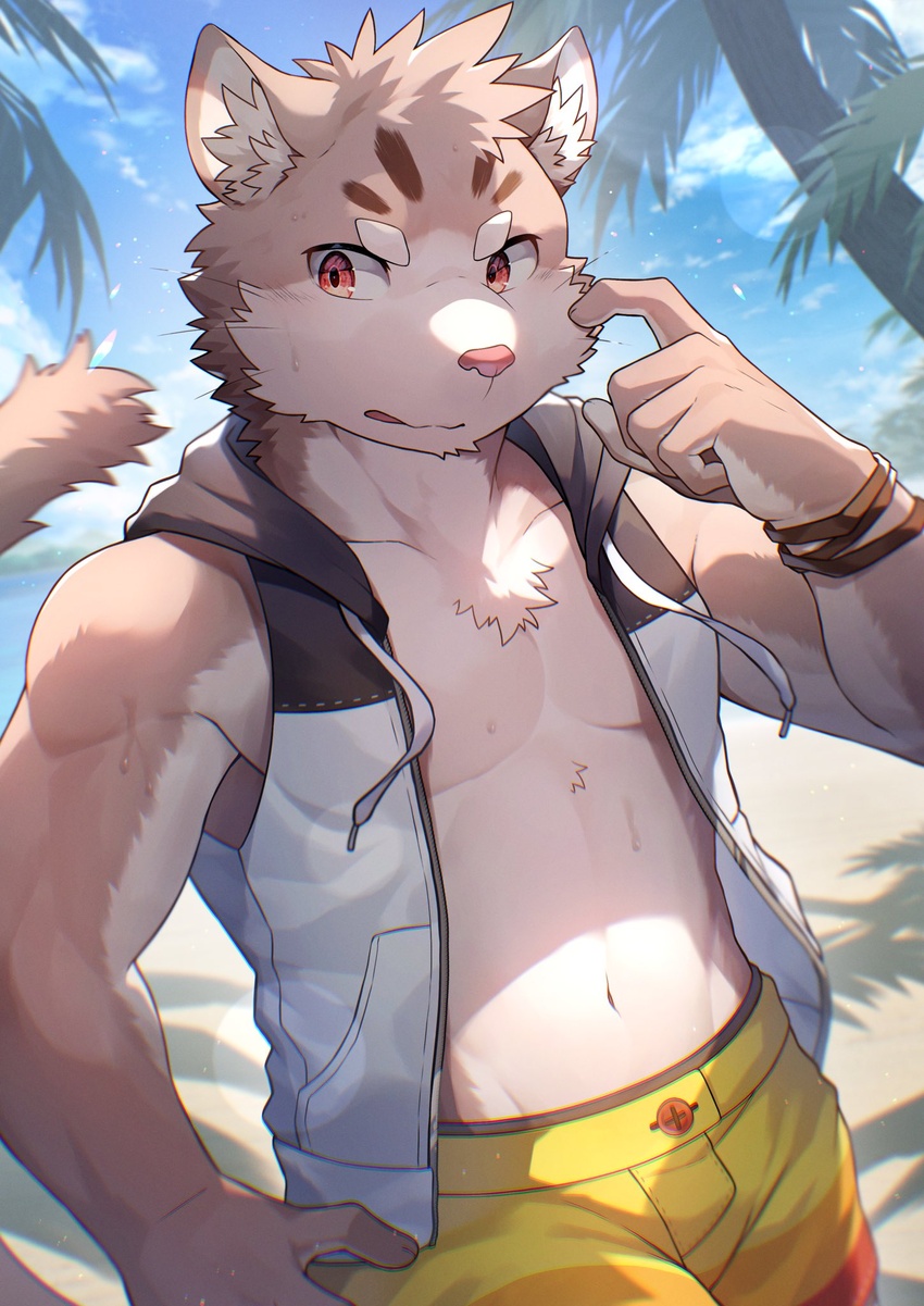 1boy animal_ears beach blue_sky cat_boy cat_ears cat_tail cloud cloudy_sky commentary_request furry furry_male highres hood hooded_jacket jacket looking_to_the_side male_focus palm_tree ponzu_tas sand scratching_cheek shorts sitri_(housamo) sky sleeveless sleeveless_jacket tail tokyo_afterschool_summoners tree yellow_shorts