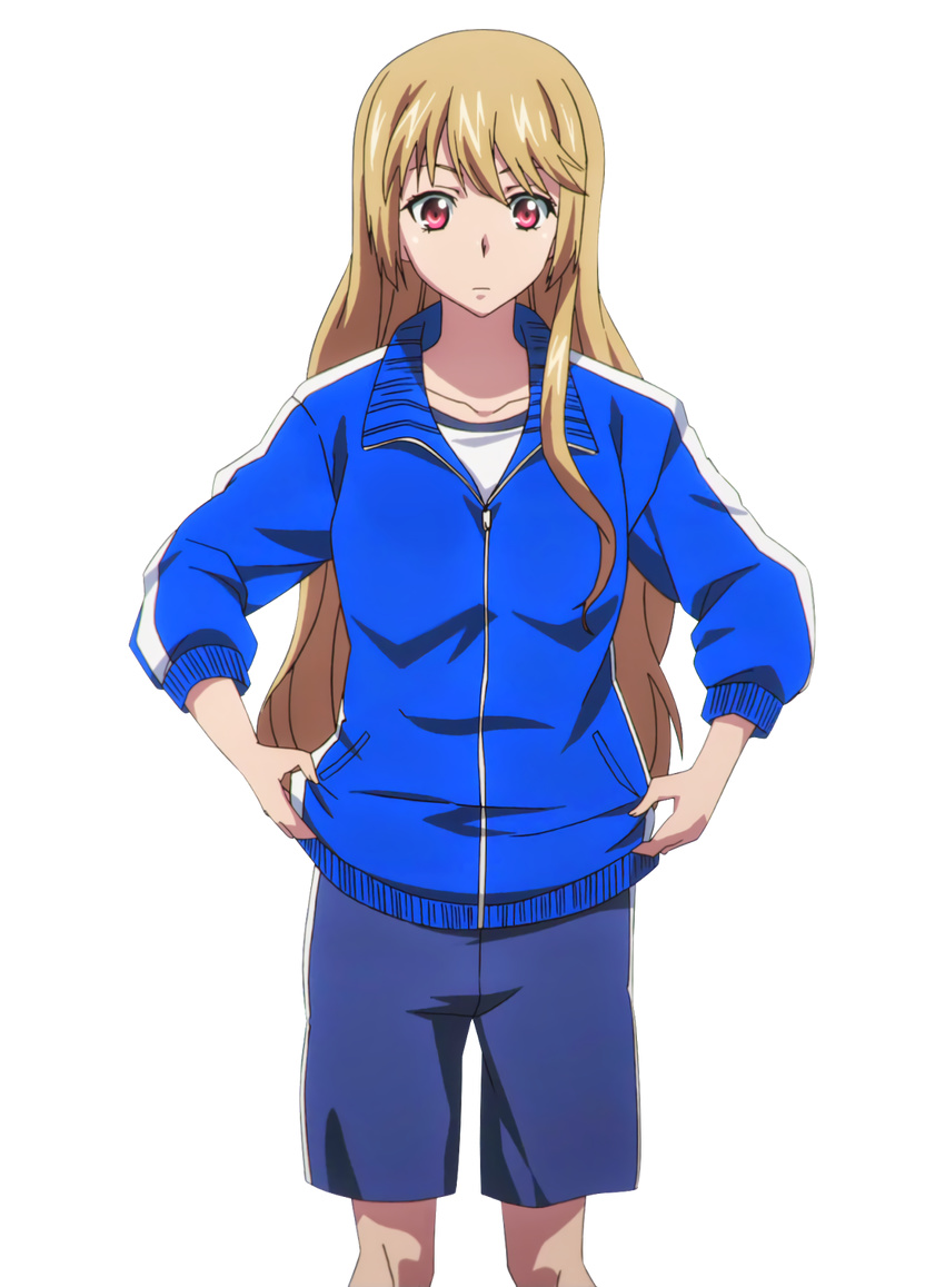 aiba_asagi blue_shorts blue_sweater collarbone highres light_brown_hair long_hair looking_down red_eyes shirt shorts solo standing strike_the_blood sweater transparent_background very_long_hair white_shirt zipper