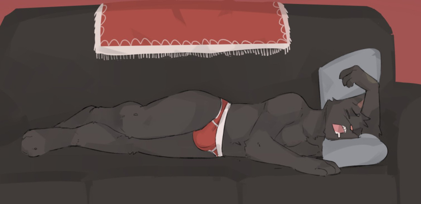 anthro black_body black_fur bodily_fluids briefs bulge clothed clothing domestic_cat drooling felid feline felis fur furniture gato_matero gato_matero_(character) male mammal mostly_nude pillow saliva sleeping sofa solo topless underwear