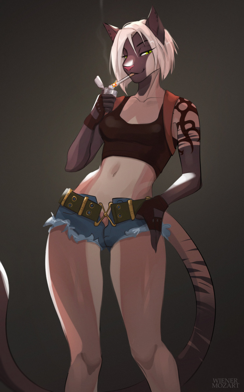 5_fingers absurd_res anthro bottomwear cigarette cigarette_in_mouth clothed clothing digital_media_(artwork) domestic_cat felid feline felis female fingerless_gloves fingers fire fur gloves hair half-closed_eyes handwear hi_res holding_lighter holding_object hotpants lighter looking_at_viewer mammal midriff minishorts narrowed_eyes navel object_in_mouth seductive shirt shorts simple_background smile smoke smoking solo standing tail tank_top topwear wienermozart