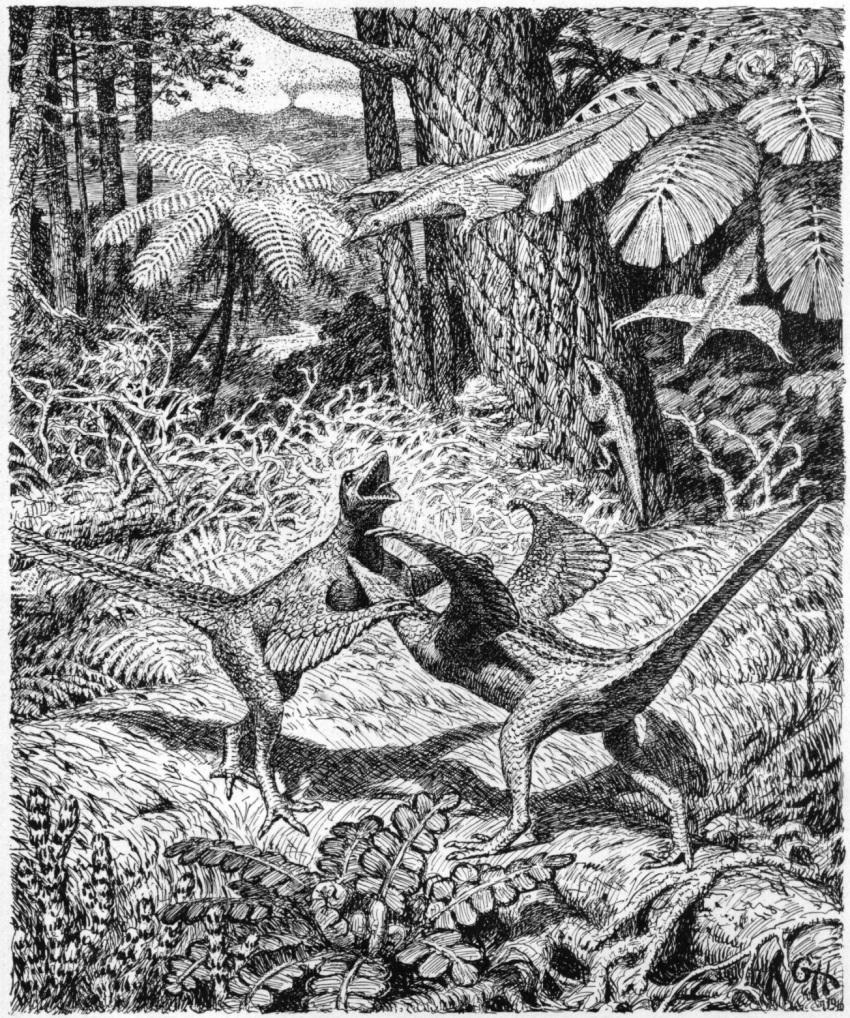 1916 20th_century ancient_art biological_illustration bite climbing_tree dinosaur duo duo_focus feathers feral fight flying forest gerhard_heilmann group hi_res monochrome open_mouth plant prehistoric_species proavis reptile scalie technical_illustration theropod traditional_media_(artwork) tree