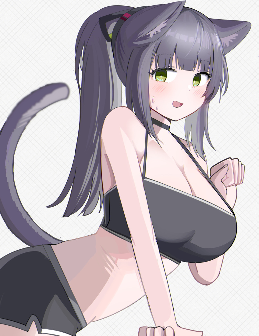 :d absurdres animal_ears arknights bare_arms bare_shoulders black_choker black_sports_bra blush breasts bright_pupils choker cleavage cowboy_shot crop_top female green_eyes grey_hair hand_up highres jessica_(arknights) large_breasts long_hair looking_at_viewer open_mouth paw_pose ponytail sidelocks sleeveless smile solo spam_(spamham4506) sports_bra sweatdrop tail tail_raised white_pupils