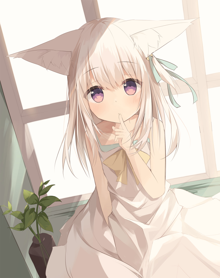 :o animal_ear_fluff animal_ears bare_arms bare_shoulders blush bow collarbone commentary_request dress dutch_angle female finger_to_mouth hair_between_eyes hand_up highres indoors kushida_you long_hair looking_at_viewer original parted_lips purple_eyes sleeveless sleeveless_dress solo white_dress white_hair window yellow_bow