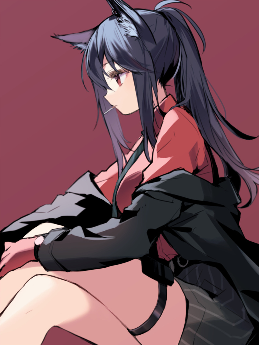 animal_ears arknights bad_id bad_twitter_id black_hair black_jacket black_necktie black_shorts breasts cigarette crossed_legs ear_piercing feet_out_of_frame female from_side gloves hands_on_own_knees highres itsumi_(itumiyuo) jacket long_hair mouth_hold necktie off_shoulder official_alternate_costume piercing ponytail red_background red_gloves red_shirt shirt shorts sitting solo texas_(arknights) texas_(willpower)_(arknights) thigh_strap thighs watch wolf_ears wristwatch