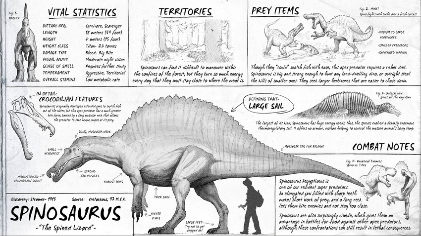 16:9 3_fingers 3_toes ambiguous_gender bone claws dinosaur extinct feet feral fingers hi_res male prehistoric_species reptile sail scalie size_difference skull smaller_male spinosaurid spinosaurus study suchomimus_(species) teeth the_isle theropod toes tyrannosaurid tyrannosauroid tyrannosaurus tyrannosaurus_rex widescreen